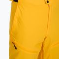 Мъжки скиорски панталони 4F Fnk M1086 yellow 7