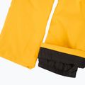 Мъжки скиорски панталони 4F Fnk M1086 yellow 9