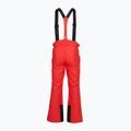 Мъжки скиорски панталони 4F Fnk M1155 red 2