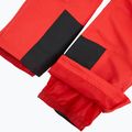 Мъжки скиорски панталони 4F Fnk M1155 red 5