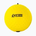 Топка за рефлекс StormCloud Ball Duo yellow/black 3