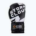 Боксьорски ръкавици StormCloud Bolt 3.0 black/white 4