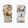 Боксови ръкавици StormCloud Bolt 3.0 white/gold