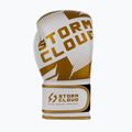Боксьорски ръкавици StormCloud Bolt 3.0 white/gold 4