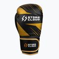 Боксови ръкавици StormCloud Lynx 2.0 black/gold 4