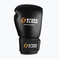 Боксови ръкавици StormCloud Muay Thai Blizzard 2.0 black/white 2