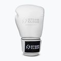 Боксови ръкавици StormCloud Muay Thai Blizzard 2.0 white/silver 2