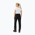 Дамски панталони за трекинг Viking Tek Pro 2.5 black 3