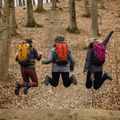 Туристическа раница Alpinus Tarfala 35 l mustard 4