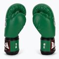 Боксови ръкавици RAJA BOXING Single Semi Leather green 4