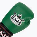 Боксови ръкавици RAJA BOXING Single Semi Leather green 5