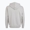 Мъжки суитшърт PROSTO Hoodie Logo Zip gray 2