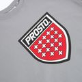 Мъжки суитшърт PROSTO Big Shield Crewneck gray 3