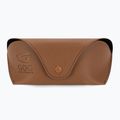 Дамски слънчеви очила GOG Hazel fashion black / brown demi / gradient smoke E808-1P 5