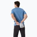 Мъжка тениска Arcteryx Arc'Word Logo Stone wash 2