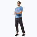 Мъжка тениска Arcteryx Arc'Word Logo Stone wash 3
