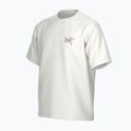 Мъжка тениска Arc'teryx Kragg Cotton Logo white light / soul 3