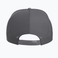 Arcteryx Bird Word Trucker бейзболна шапка black /cloud 3