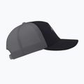 Arcteryx Bird Word Trucker бейзболна шапка black /cloud 4