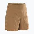 Трекинг шорти Arc'Teryx Aestas canvas 6