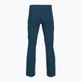 Мъжки софтшел панталони Arcteryx Gamma AR nightscape 2
