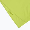 Мъжка тениска Arcteryx Cormac Logo mantis 3