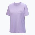 Дамска тениска Arc'teryx Kragg Sl Cotton Emblem Crew mallow 4