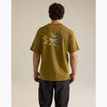 Мъжка тениска Arcteryx Kragg Cotton Logo SS bracken 3