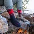 Мъжки чорапи Darn Tough VanGrizzle Boot Sock Cushion moose black 5