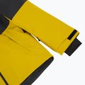 Мъжко скиорско яке Halti Wedeln DX golden palm 4