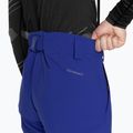 Мъжки скиорски панталони Halti Carvey DX surf the web blue 5