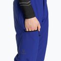 Мъжки скиорски панталони Halti Carvey DX surf the web blue 6