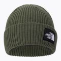 Шапка The North Face Salty Dog зелена NF0A3FJWNYC1 2