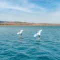 Aztron Soar 4.0 Въздушно крило за Wingfoil 5