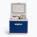 Хибриден пътнически хладилник Igloo IH45 43 л син 9