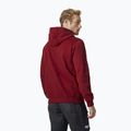 Мъжка качулка Helly Hansen HH Logo burgundy 33977_215 2