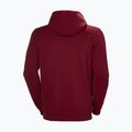 Мъжка качулка Helly Hansen HH Logo burgundy 33977_215 5