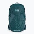 Helly Hansen Generator 20 l туристическа раница зелена 67341_436
