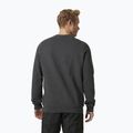 Мъжки пуловер Helly Hansen Arctic Ocean Sweater сив 30364_980 2