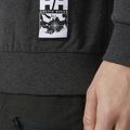Мъжки пуловер Helly Hansen Arctic Ocean Sweater сив 30364_980 3