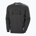 Мъжки пуловер Helly Hansen Arctic Ocean Sweater сив 30364_980 4