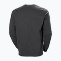 Мъжки пуловер Helly Hansen Arctic Ocean Sweater сив 30364_980 5