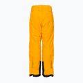 Детски ски панталони Helly Hansen Elements yellow 41765_328 2