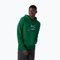 Мъжки суитшърт Helly Hansen F2F Organic Cotton Hoodie 486 green 62934 3