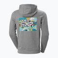 Мъжка блуза за преходи Helly Hansen F2F Organic Cotton 855 сив 62934 2