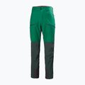 Мъжки панталони за трекинг на Helly Hansen Verglas Tur 486 green 63000 4