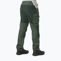 Helly Hansen мъжки панталон за трекинг Vandre Tur green 62698_476 2
