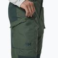 Helly Hansen мъжки панталон за трекинг Vandre Tur green 62698_476 3