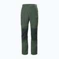 Helly Hansen мъжки панталон за трекинг Vandre Tur green 62698_476 6