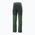 Helly Hansen мъжки панталон за трекинг Vandre Tur green 62698_476 7